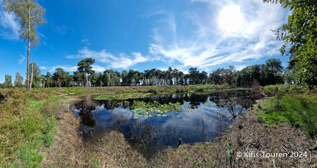 Heide und Wald: Wanderung durch den Naturpark Hohe Mark