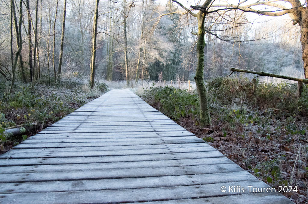 Auenlandschaft an der Düssel